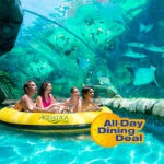 cdo-aquatica-dp