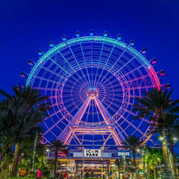 Roda Gigante (The Wheel) – Icon Park (1 entrada)