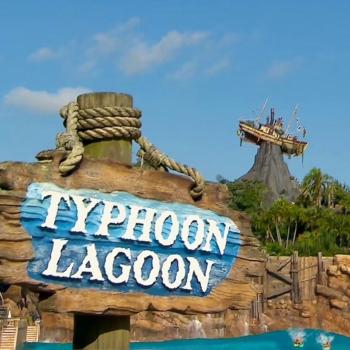Parque Aquático Disney: 1 dia (Typhoon Lagoon ou Blizzard Beach)