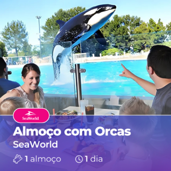 Almoço com Orcas - SeaWorld