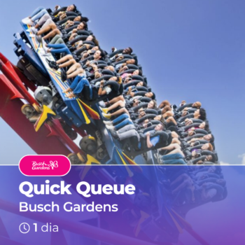Quick Queue - Busch Gardens