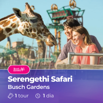Busch Gardens - Serengethi Safari