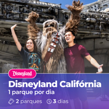 Disneyland Califórnia - 3 Dias (1 parque por dia)